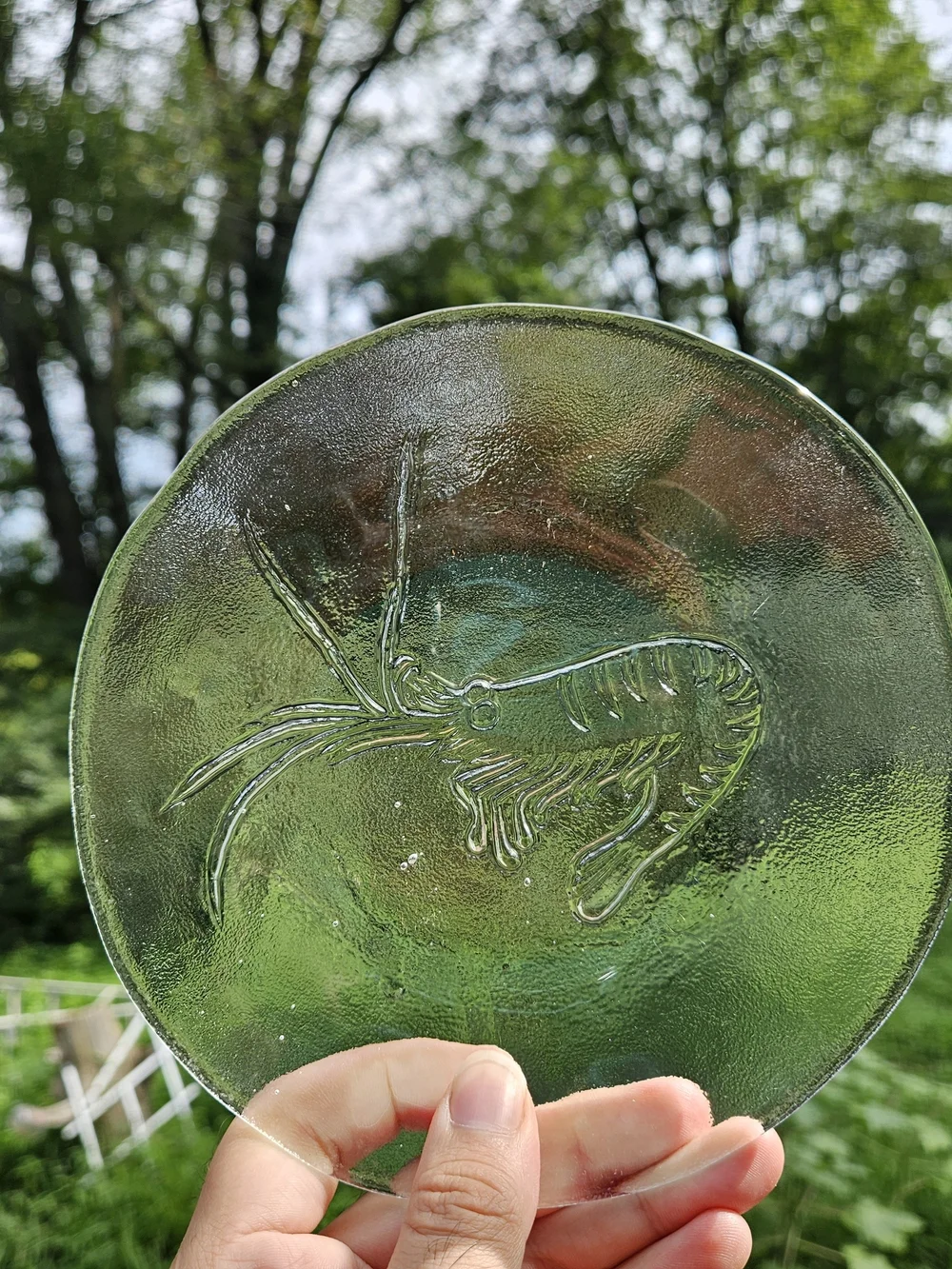 Set of 4 Clear Glass Seafood Motif Plates Appetizer Sized